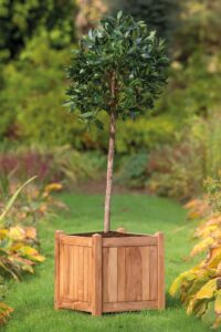 Teak bloembak Lombok - Afbeelding 2