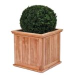 Teak bloembak Kalimantan Groot