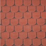 Dakshingles beverstaart