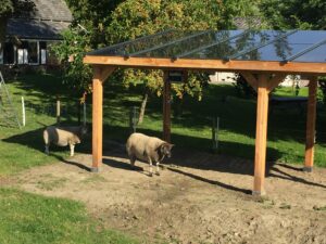 Solar Veranda / Carport  vrijstaand DDS50V - Afbeelding 8