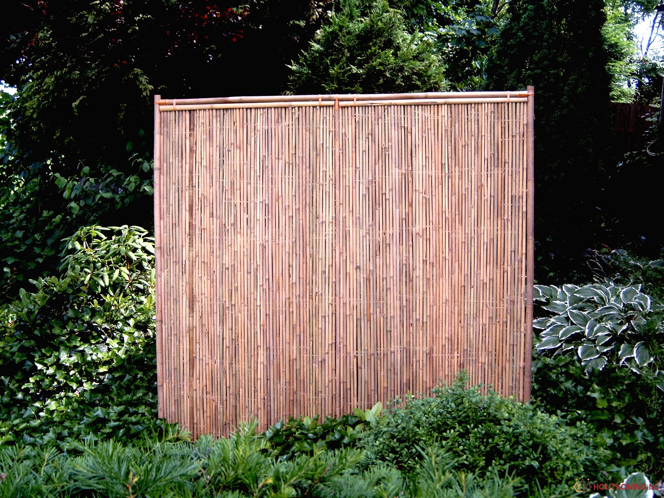 Bamboe scherm