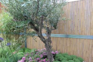 BambooWall dubbelzijdig Geluidsscherm - Afbeelding 3