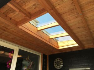 Lichtstraat Douglas lessenaarsdak met glas - Afbeelding 2