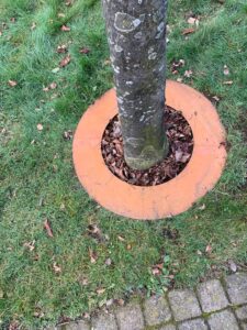 Boomring Cortenstaal - Afbeelding 2