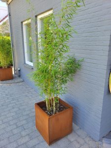 Plantenbak Vierkant Cortenstaal - Afbeelding 2