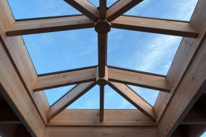 Lichtstraat Douglas Schilddak met glas - Afbeelding 3