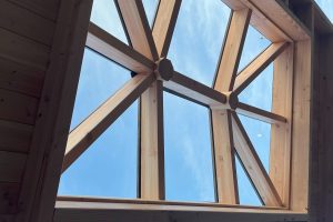 Lichtstraat Douglas Schilddak met glas - Afbeelding 4