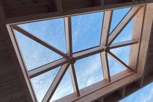 Lichtstraat Douglas Schilddak met glas - Afbeelding 5
