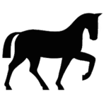 Paardenwereld
