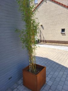 Plantenbak Rechthoek Cortenstaal - Afbeelding 6