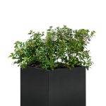 Bloembak Mohawk, zwart gepoedercoat staal 50 x 50 x 50 cm